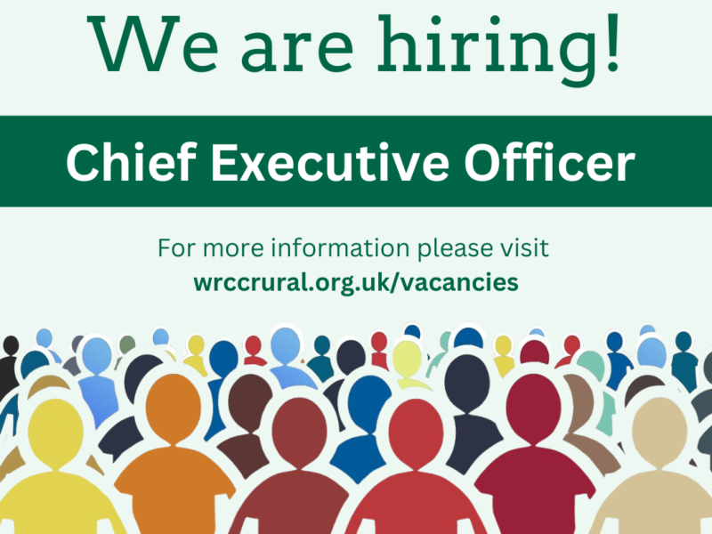 We are looking for a new CEO!